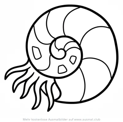 Nautilus Ausmalbild mit spiralförmigem Gehäuse und Tentakeln