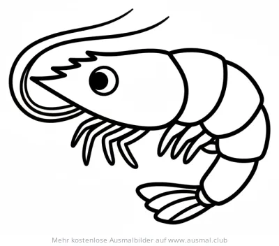Garnele Ausmalbild
