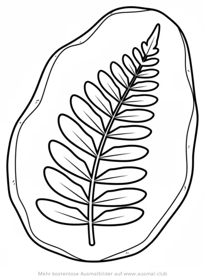 Farn Fossil Ausmalbild