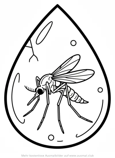 Bernsteinmücke Ausmalbild