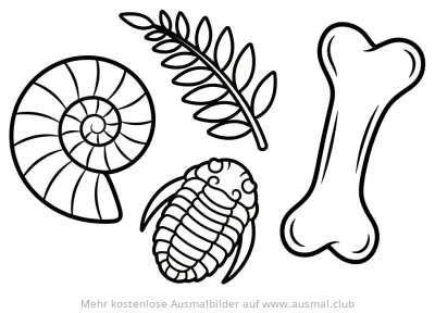 Fossilien Ausmalbild mit Ammonit, Trilobit, Farn und Knochen