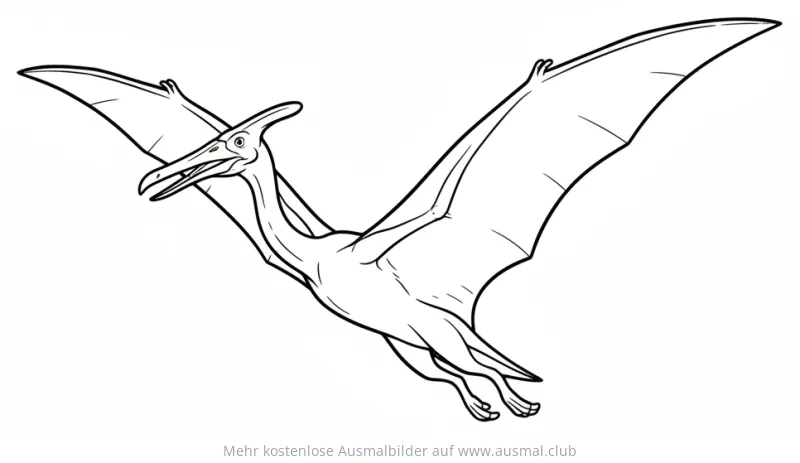 Fliegender Quetzalcoatlus Ausmalbild