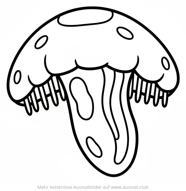 Rippenqualle Ausmalbild
