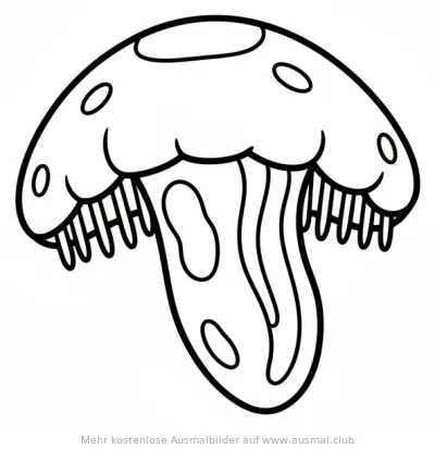 Rippenqualle Ausmalbild