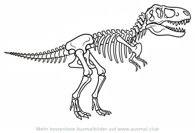 T-Rex Skelett Ausmalbild