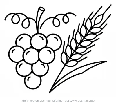 Trauben und Weizen Ausmalbild für Fronleichnam