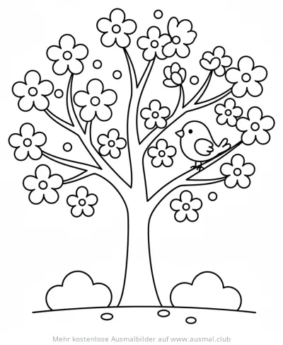 Kirschblüte mit Vogel Ausmalbild