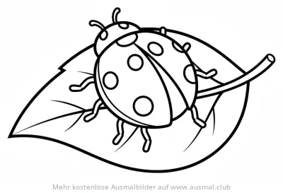 Marienkäfer auf Blatt Ausmalbild
