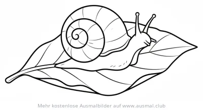 Schnecke kriecht auf einem Blatt Ausmalbild