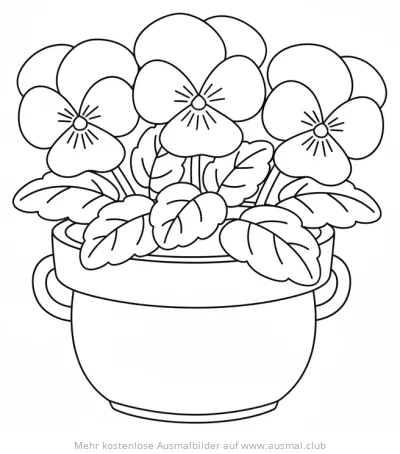 Stiefmütterchen im Topf Ausmalbild