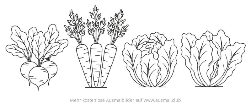 Gemüse Ausmalbild mit Rüben, Karotten und Salat