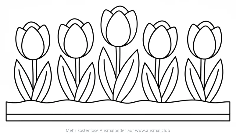Tulpen im Beet Ausmalbild