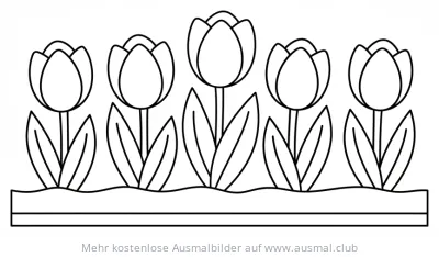 Tulpen im Beet Ausmalbild