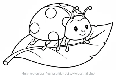 Freundlicher Marienkäfer auf Blatt Ausmalbild