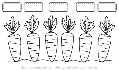 Karottenbeet Ausmalbild