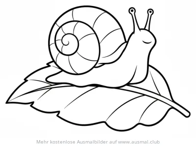 Schnecke auf Blatt Ausmalbild