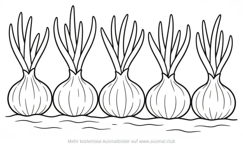 Fünf Zwiebeln mit Trieben Ausmalbild