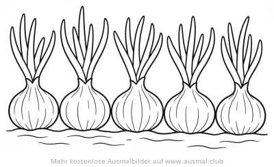 Fünf Zwiebeln mit Trieben Ausmalbild