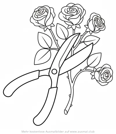Gartenschere schneidet Rosen Ausmalbild