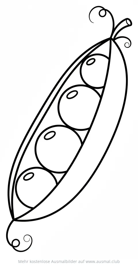 Erbse Ausmalbild mit vier Erbsen in der Schote