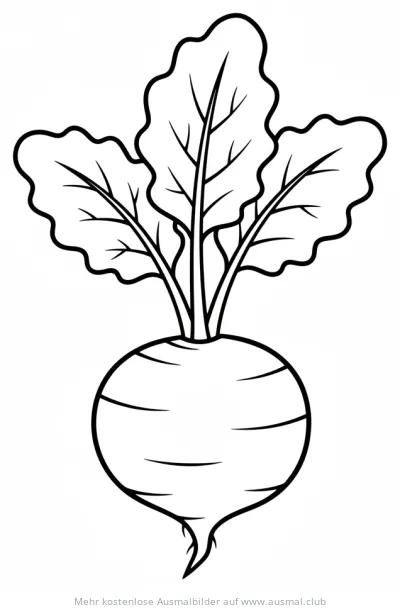 Rote Bete Ausmalbild mit Blättern