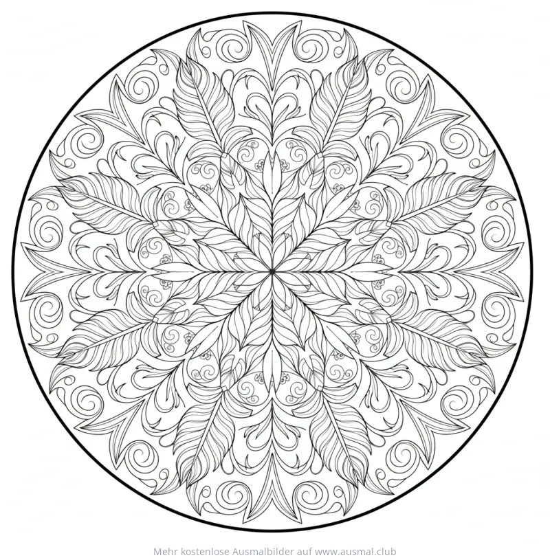Federn Mandala Ausmalbild