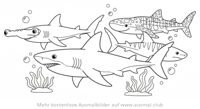 Hai Vielfalt Ausmalbild