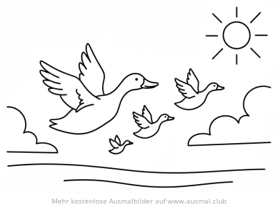 Fliegende Enten am Himmel Ausmalbild