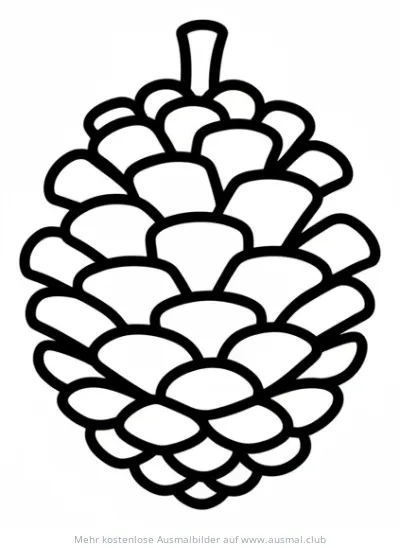 Zapfen Ausmalbild