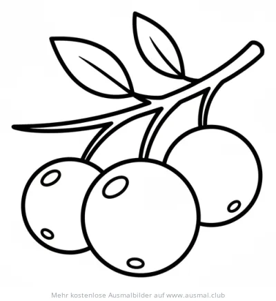 Beeren mit Blättern Ausmalbild