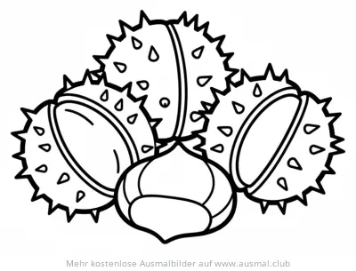 Kastanien Ausmalbild im Herbst