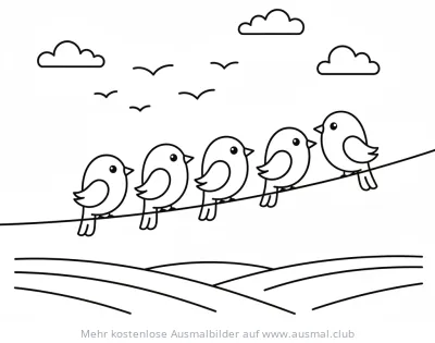Fünf Vögel sitzen auf einer Leitung Ausmalbild