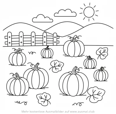 Kürbisfeld Ausmalbild mit Zaun, Sonne und Hügeln