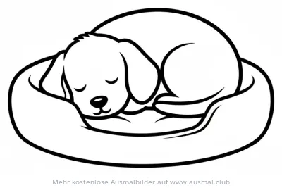 Schlafender Hund im Korb Ausmalbild