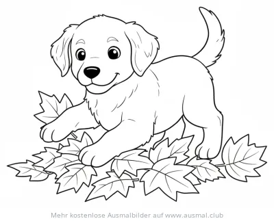 Golden Retriever Welpe spielt in Herbstlaub Ausmalbild