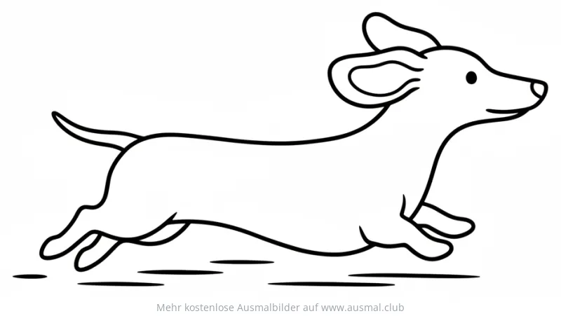 Dackel rennt Ausmalbild