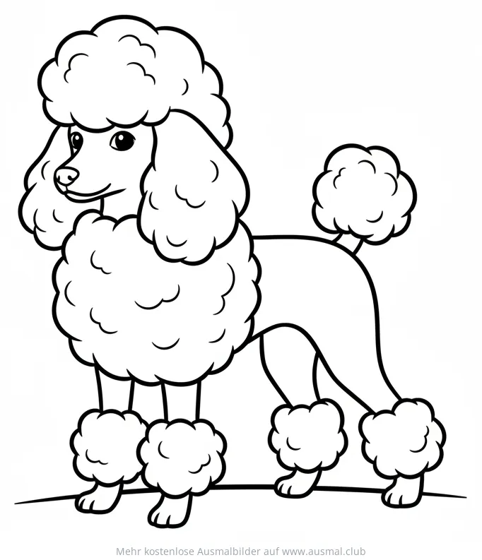 Pudel Ausmalbild mit typischer Pudel-Frisur