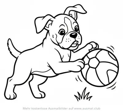Boxer Welpe spielt mit Fußball Ausmalbild