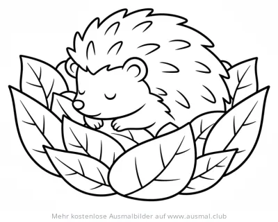 Schlafendes Igelbaby in Blättern Ausmalbild