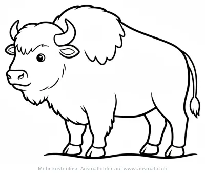 Büffel Ausmalbild