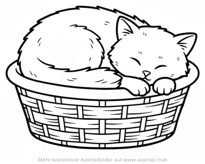 Schlafende Katze in einem Korb Ausmalbild
