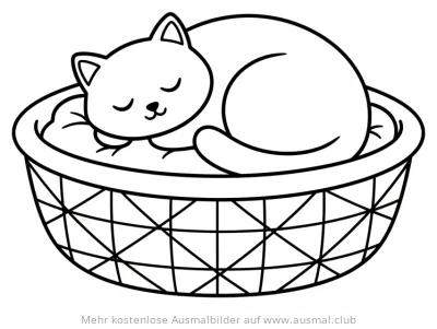 Schlafende Katze im Korb Ausmalbild