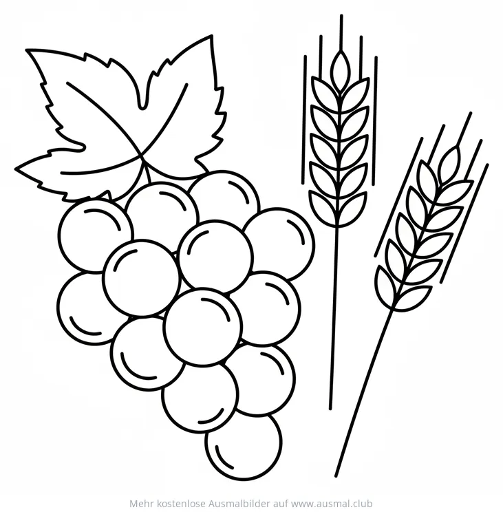 Trauben und Weizen Ausmalbild für Konfirmation