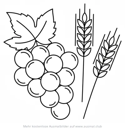 Trauben und Weizen Ausmalbild für Konfirmation