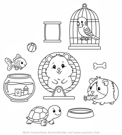 Haustiere Ausmalbild: Goldfisch, Schildkröte, Hamster, Meerschweinchen, Wellensittich