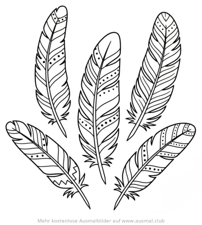 Mehrere Federn Ausmalbild mit Mustern