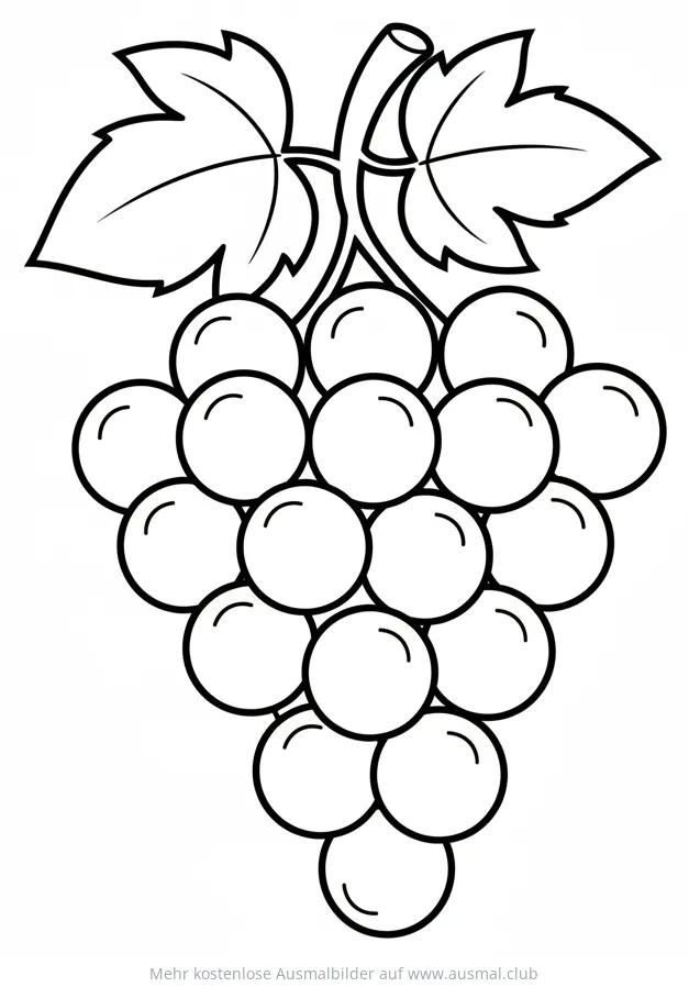 Trauben Ausmalbild