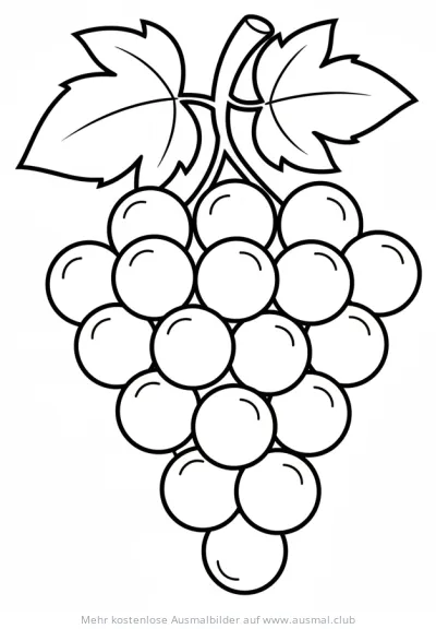 Trauben Ausmalbild
