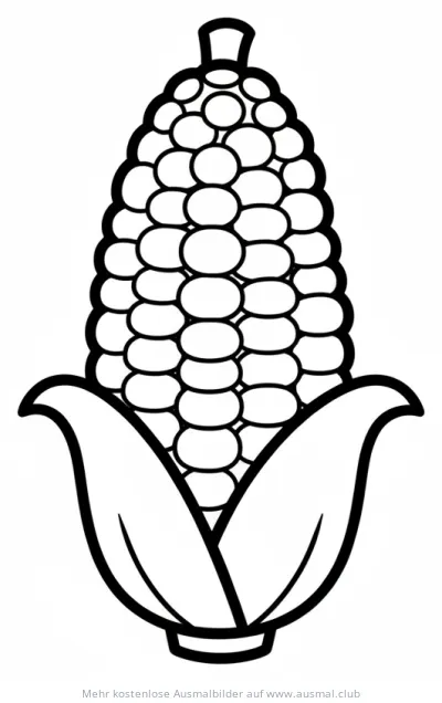 Maiskolben Ausmalbild