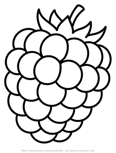 Himbeere Ausmalbild